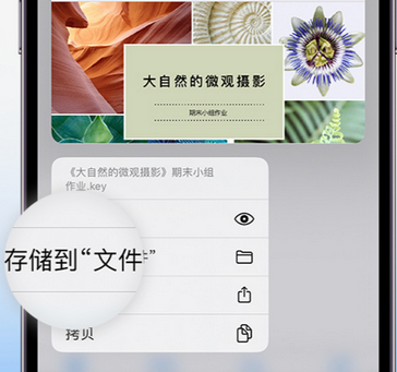 赣榆apple维修中心分享iPhone文件应用中存储和找到下载文件