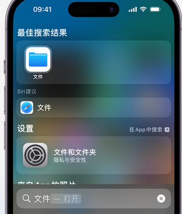 赣榆apple维修中心分享iPhone文件应用中存储和找到下载文件 