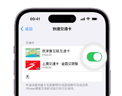 赣榆apple维修点分享iPhone上更换Apple Pay快捷交通卡手绘卡面 