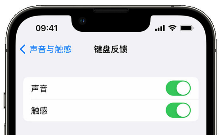 赣榆苹果手机维修分享iPhone 14触感键盘使用方法 