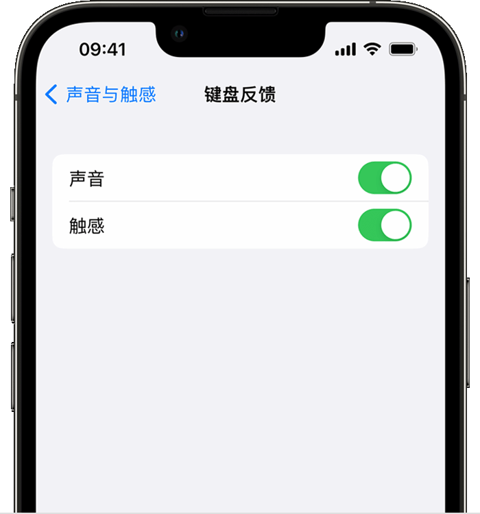 赣榆苹果14维修店分享如何在 iPhone 14 机型中使用触感键盘 