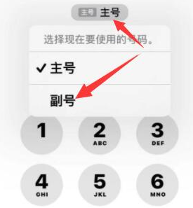 赣榆苹果14维修店分享iPhone 14 Pro Max使用副卡打电话的方法 