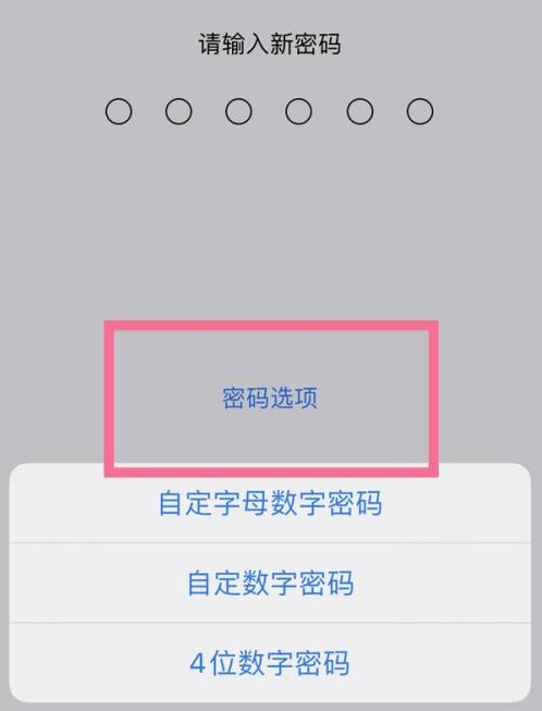 赣榆苹果14维修分享iPhone 14plus设置密码的方法 