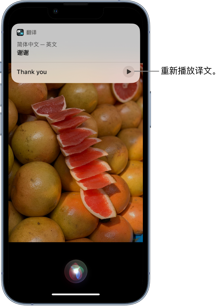 赣榆苹果14维修分享 iPhone 14 机型中使用 Siri：了解 Siri 能帮你做什么 