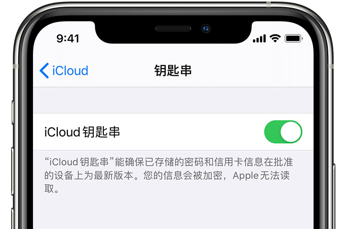 赣榆苹果手机维修分享在 iPhone 上开启 iCloud 钥匙串之后会储存哪些信息 