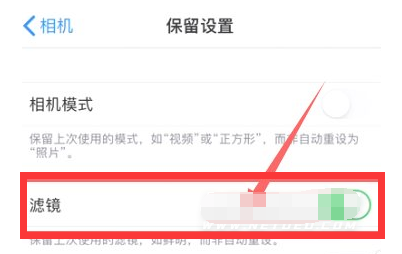 赣榆苹果13维修分享iPhone13拍照有绿点是怎么回事 