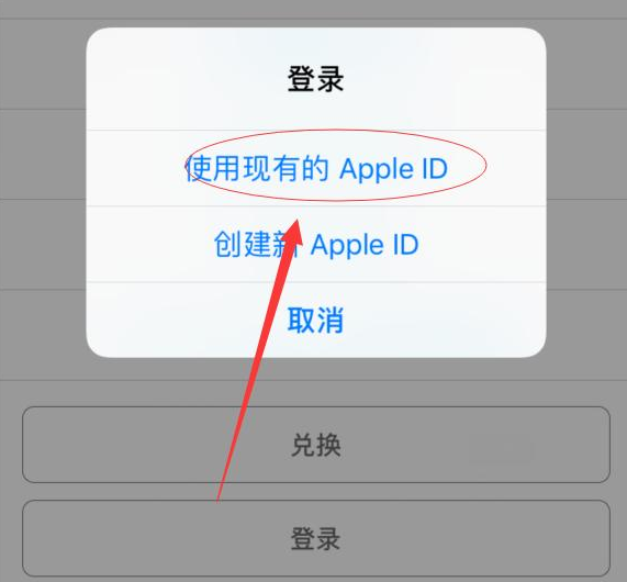 赣榆苹果手机维修分享两台iPhone设备可以同时登录一个Apple ID吗 
