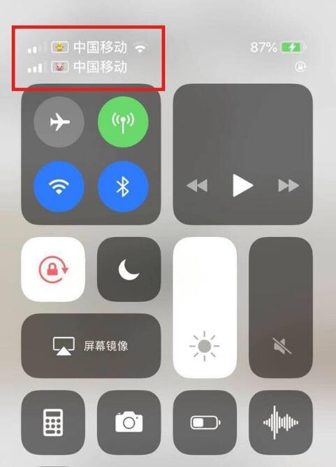赣榆苹果手机维修分享为 iPhone 12 双卡设置标签 